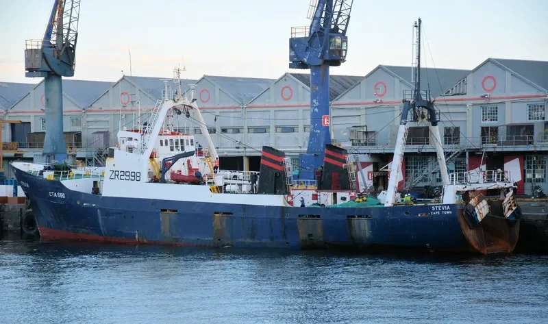 STEVIA General Cargo IMO 7233773