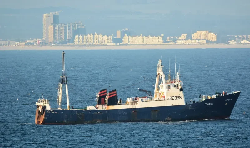 STEVIA General Cargo IMO 7233773 photo 3