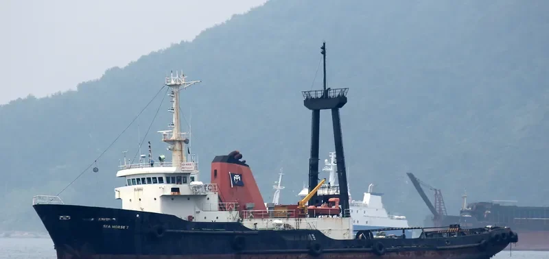 SEAHORSE 7 General Cargo IMO 7234351