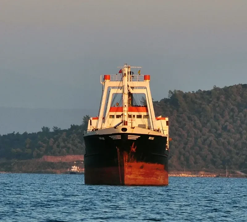 ROSE General Cargo IMO 7234765 photo 3