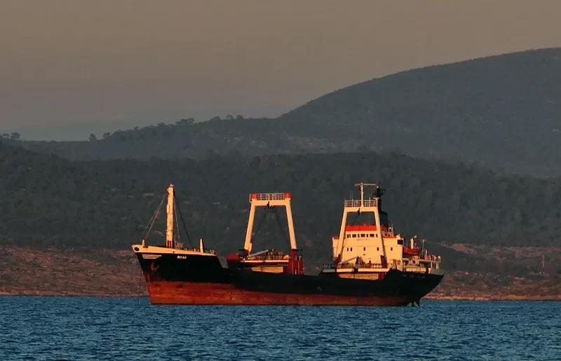 ROSE General Cargo IMO 7234765 photo 4