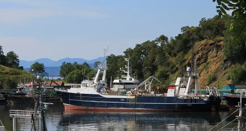 MAYBORG General Cargo IMO 7234868