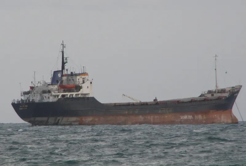 AL WADI General Cargo IMO 7234882 photo 2