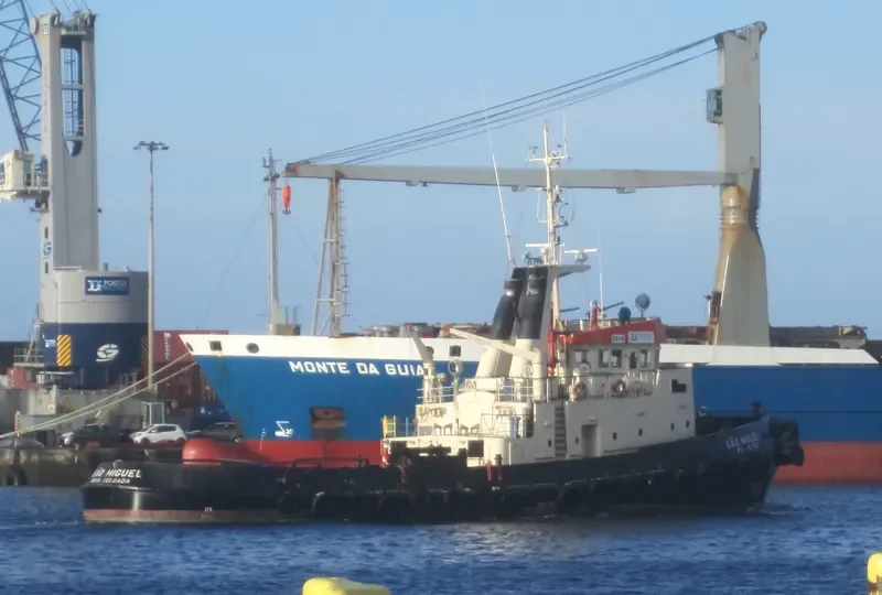 SAO MIGUEL Tug Boat IMO 7234961 photo 6