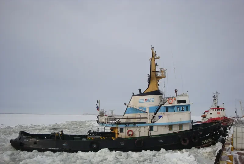 TRITON General Cargo IMO 7236141