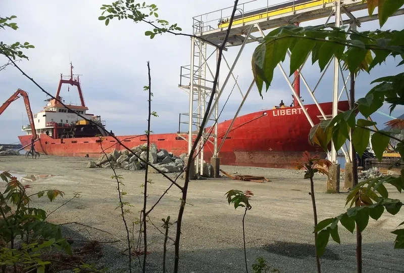 LIBERTY General Cargo Vessel IMO 7237236 photo 2