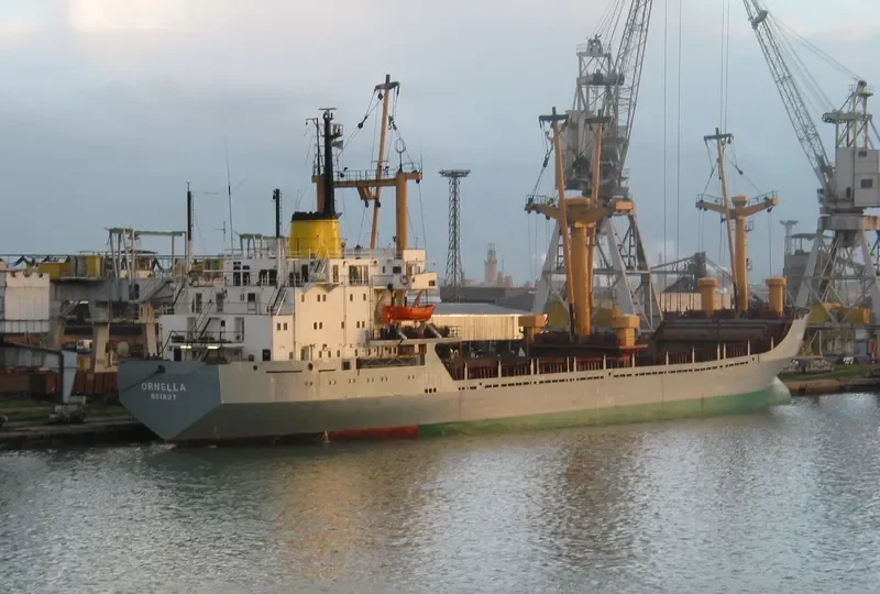 RAFI General Cargo Vessel IMO 7300899