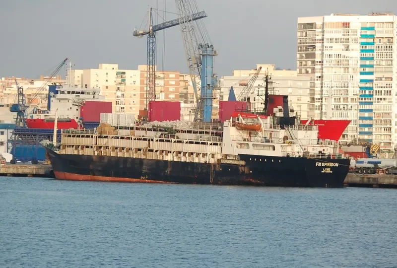 F.M.SPIRIDON General Cargo IMO 7300992 photo 4