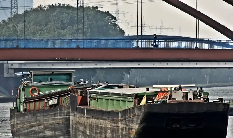 GOAM Ro-Ro IMO 7301477 photo 3