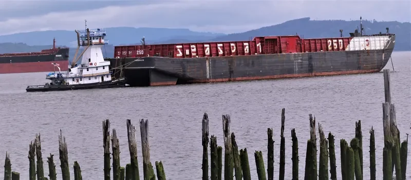 RANDY S General Cargo IMO 7301518 photo 9