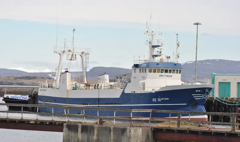 BRETTINGUR General Cargo IMO 7302392 photo 3
