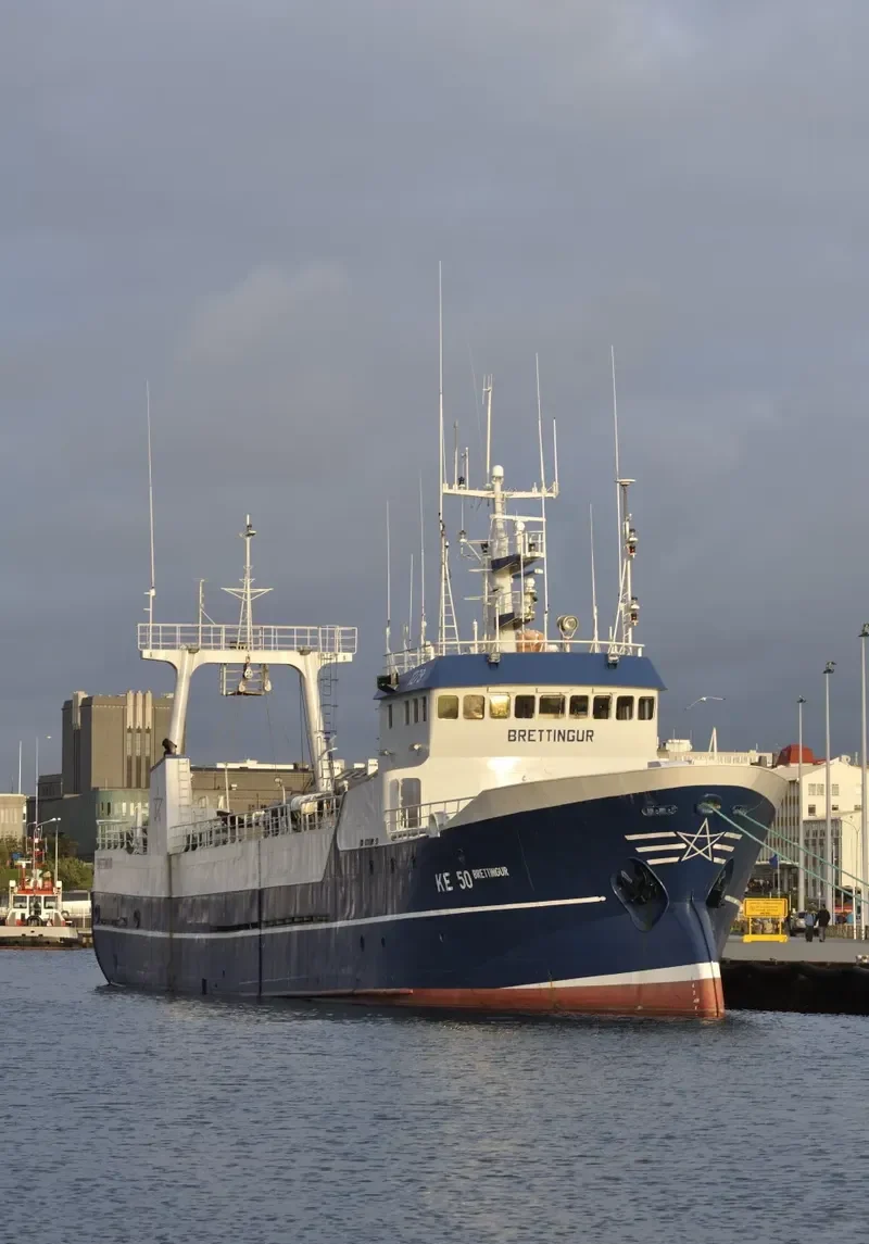 BRETTINGUR General Cargo IMO 7302392 photo 5