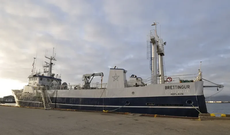 BRETTINGUR General Cargo IMO 7302392 photo 6