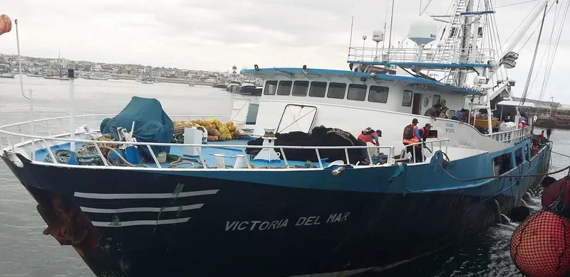 VICTORIA DEL MAR General Cargo IMO 7302782