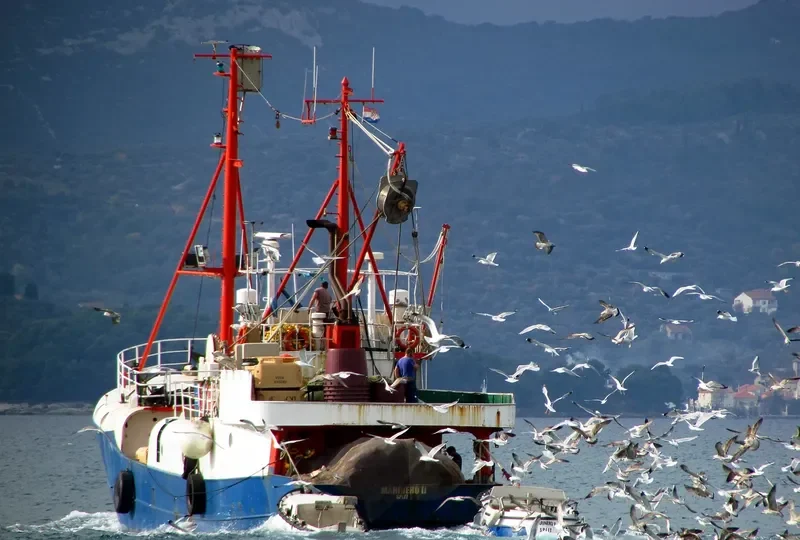 MARINERO II Fishing Vessel IMO 7302847 photo 6