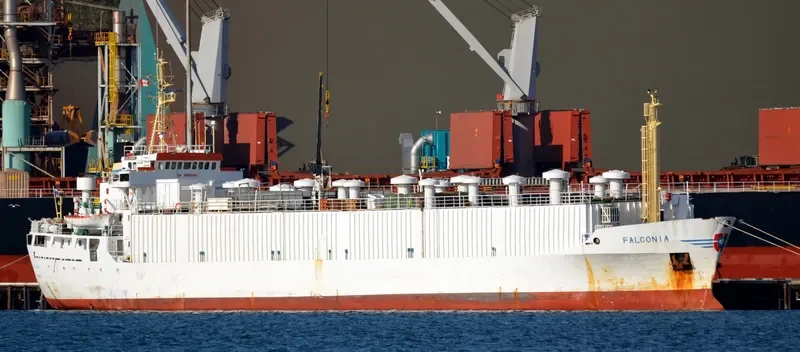 DRAGON General Cargo IMO 7303231 photo 4