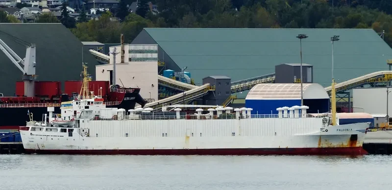 DRAGON General Cargo IMO 7303231 photo 5