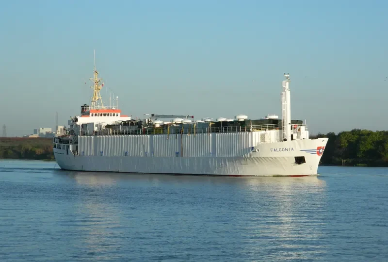 DRAGON General Cargo IMO 7303231 photo 9