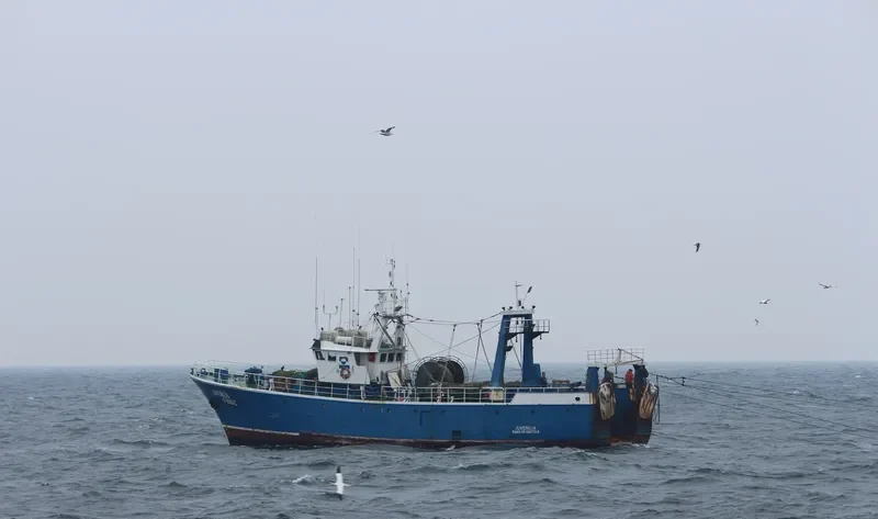 JUVENILIA Fishing Vessel IMO 7303578 photo 3