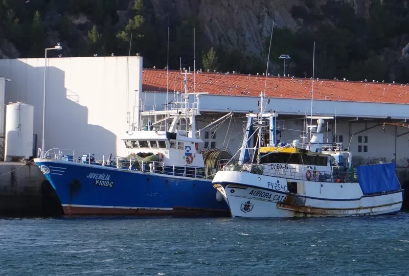 JUVENILIA Fishing Vessel IMO 7303578 photo 6