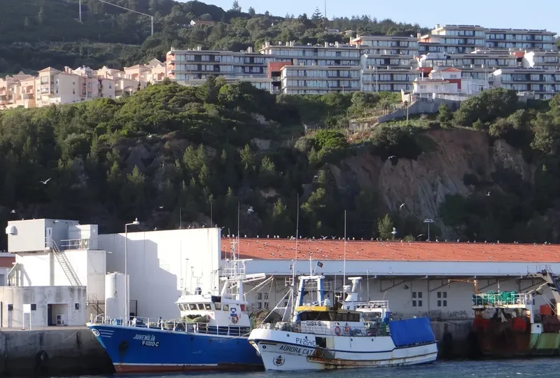 JUVENILIA Fishing Vessel IMO 7303578 photo 7