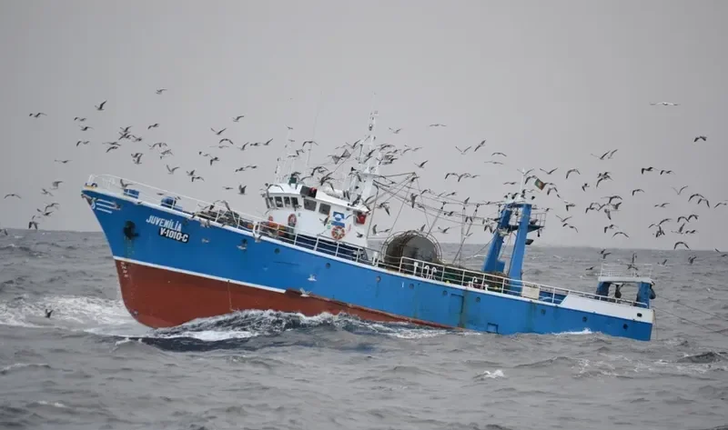 JUVENILIA Fishing Vessel IMO 7303578 photo 8