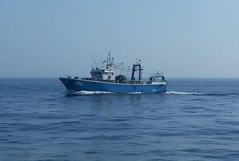 JUVENILIA Fishing Vessel IMO 7303578 photo 9