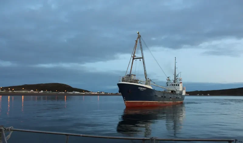 ELINOR MARIT General Cargo Vessel IMO 7304766 photo 2