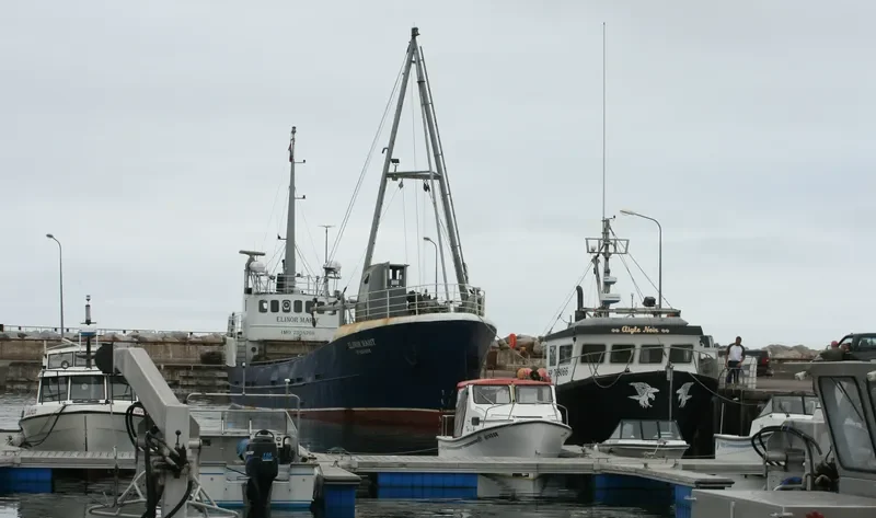 ELINOR MARIT General Cargo Vessel IMO 7304766 photo 5