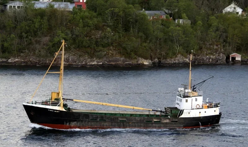ELINOR MARIT General Cargo Vessel IMO 7304766 photo 10