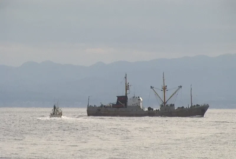 RADUZHNYY Fishing Vessel IMO 7305162