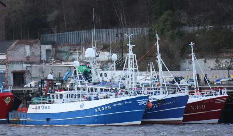 RESILIENT Fishing Vessel IMO 7305382 photo 2
