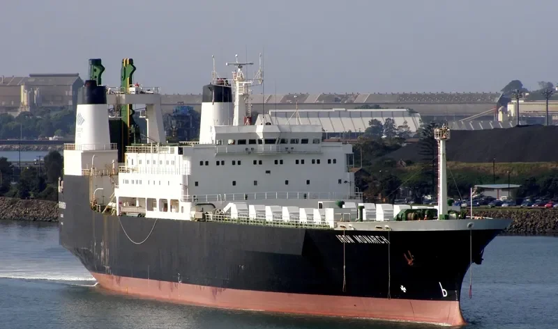 ULUSOY Ro-Ro Vessel IMO 7305502 photo 9