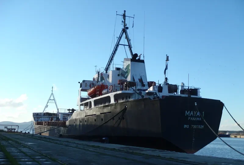MAYA 1 General Cargo IMO 7305526 photo 5