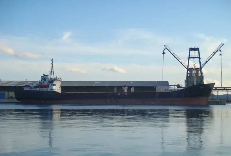 MAYA 1 General Cargo IMO 7305526 photo 6