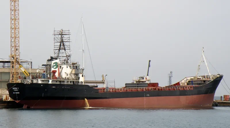 MAYA 1 General Cargo IMO 7305526 photo 8