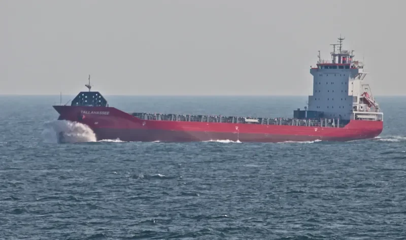 TALLAHASSEE Container Ship IMO 7305796 photo 2