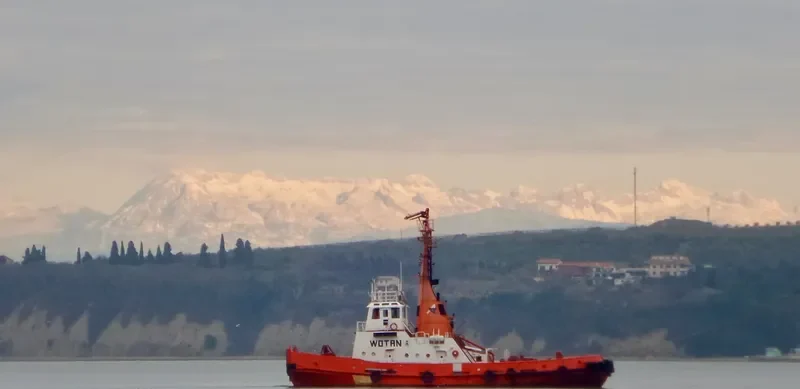 WOTAN General Cargo IMO 7305992 photo 5