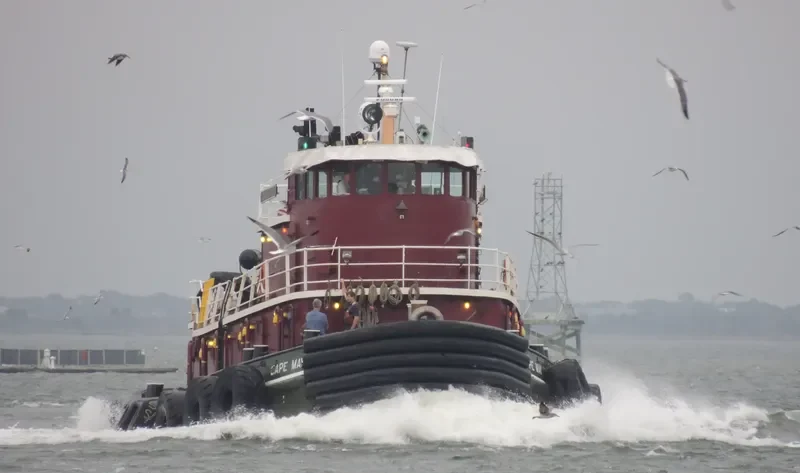 CAPE MAY General Cargo IMO 7306790 photo 4
