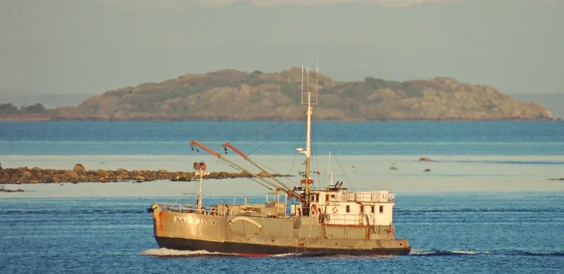 RANDI LYNN Fishing Vessel IMO 7307495 photo 3