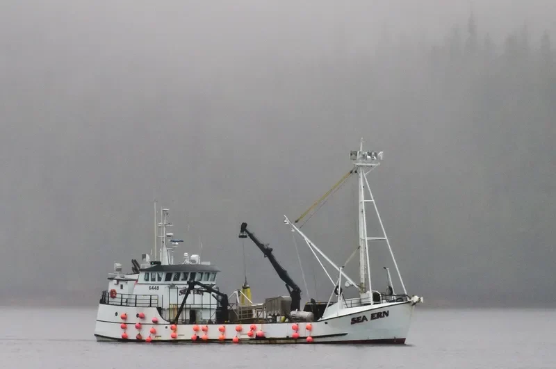 SEA ERN Fishing Vessel IMO 7308542 photo 7