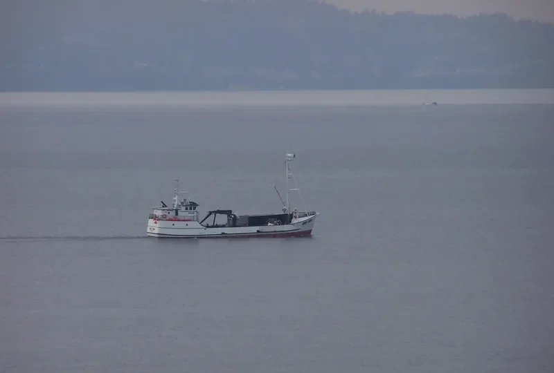 SEA ERN Fishing Vessel IMO 7308542 photo 8