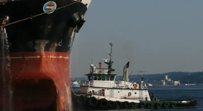 ISLAND BREEZE General Cargo IMO 7308762 photo 2