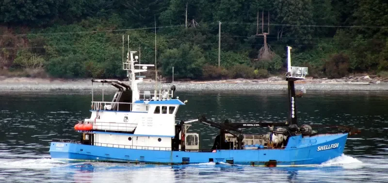 SHELLFISH General Cargo IMO 7308774 photo 2
