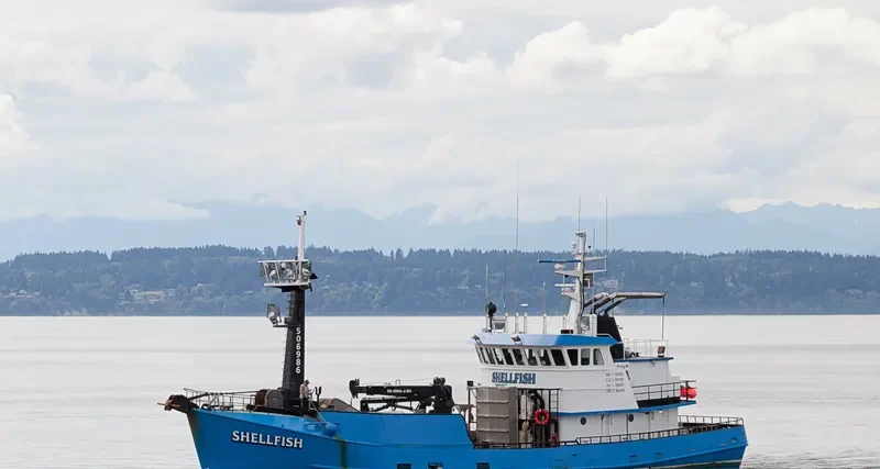 SHELLFISH General Cargo IMO 7308774 photo 3