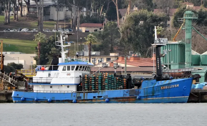 SHELLFISH General Cargo IMO 7308774 photo 6