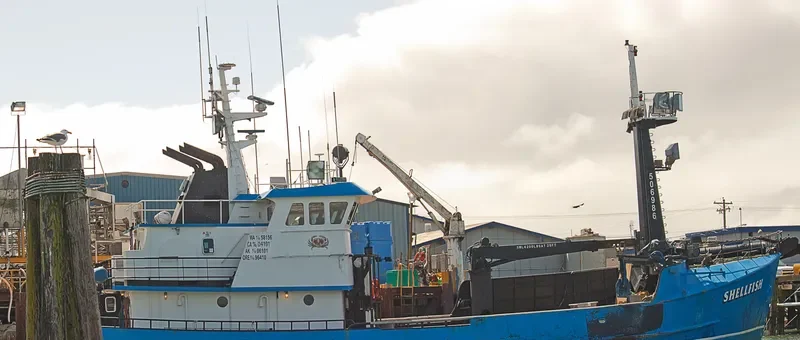 SHELLFISH General Cargo IMO 7308774 photo 9