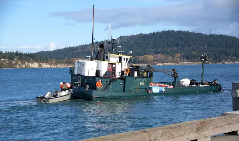 TEBENKOF Fishing Vessel IMO 7309273 photo 5