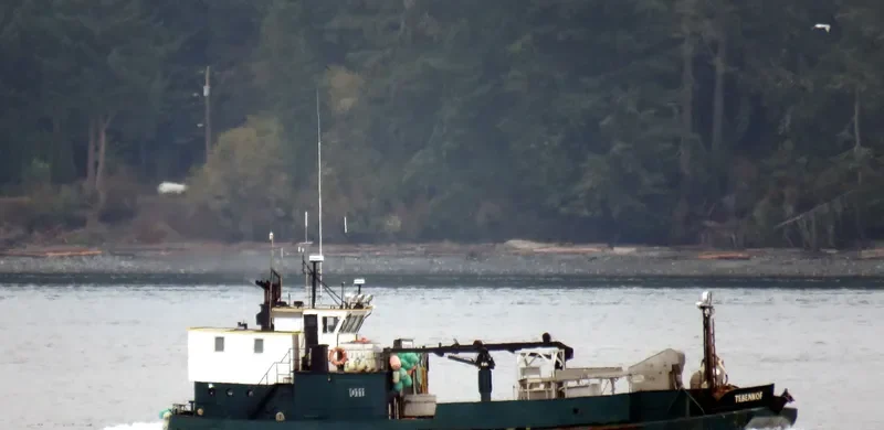 TEBENKOF Fishing Vessel IMO 7309273 photo 8