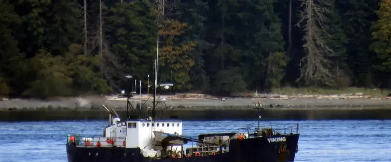 VIKING Fishing Vessel IMO 7309780 photo 2